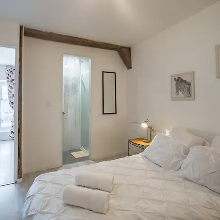 דירה Duplex Saussier- Centre Historique - Ideal Groupe טרואה