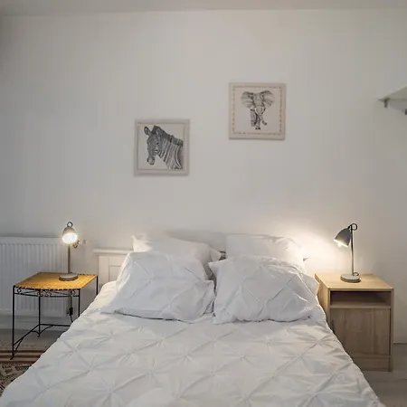 דירה Duplex Saussier- Centre Historique - Ideal Groupe טרואה